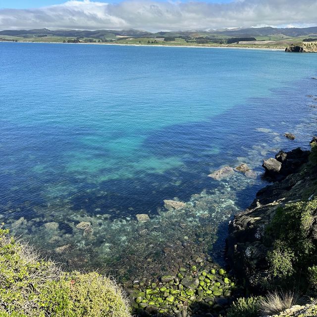 NZ 紐西蘭 南島 卡提奇燈塔 Katiki Point Lighthouse