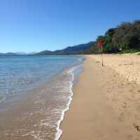 Palm Cove | Paradise  