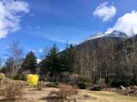Jewell Gardens