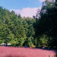 ์ธ์ฐ ํํฌ๋ฎฌ๋ฆฌ ๋ช
์ '์ธ์ฐ๋๊ณต์'