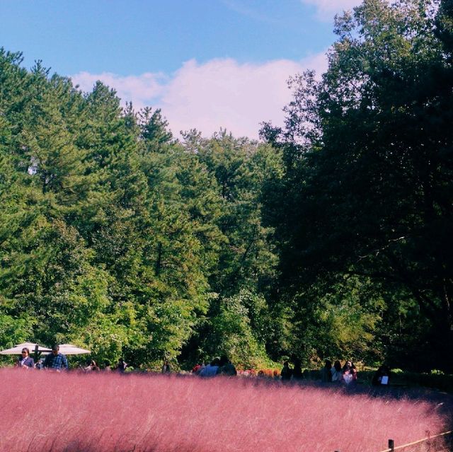 ์ธ์ฐ ํํฌ๋ฎฌ๋ฆฌ ๋ช
์ '์ธ์ฐ๋๊ณต์' ์ธ์ฐ ํํฌ๋ฎฌ๋ฆฌ ๋ช
์ '์ธ์ฐ๋๊ณต์'