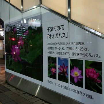 千葉駅とペリエ千葉に行って来ました ペリエ千葉と千葉駅に行って来ました 千 Trip Com 千葉 トラベルガイド