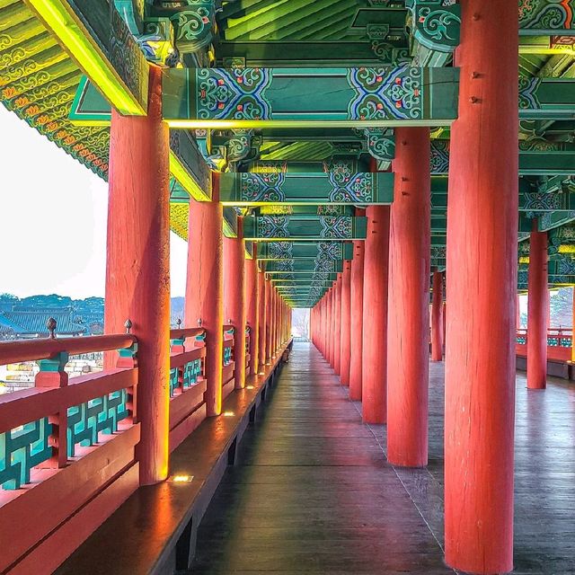 낮과 밤 모두 예쁜 월정교 🌉