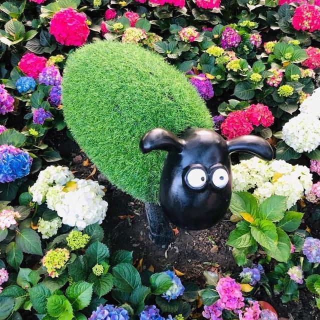 大安森林公園 🌸🌺🌼🌻💐🌷🌹 台北杜鵑花季