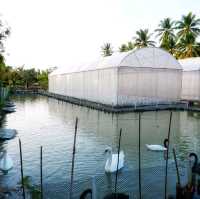 คาเฟ่ Mini Zoo