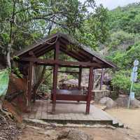 由鬧市幾分鐘行到鳥語花香的山林間