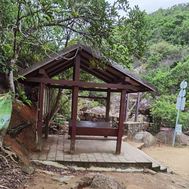由鬧市幾分鐘行到鳥語花香的山林間