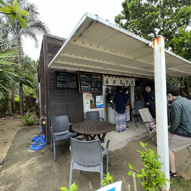 【由布島】間近で取れる蝶々が最高！