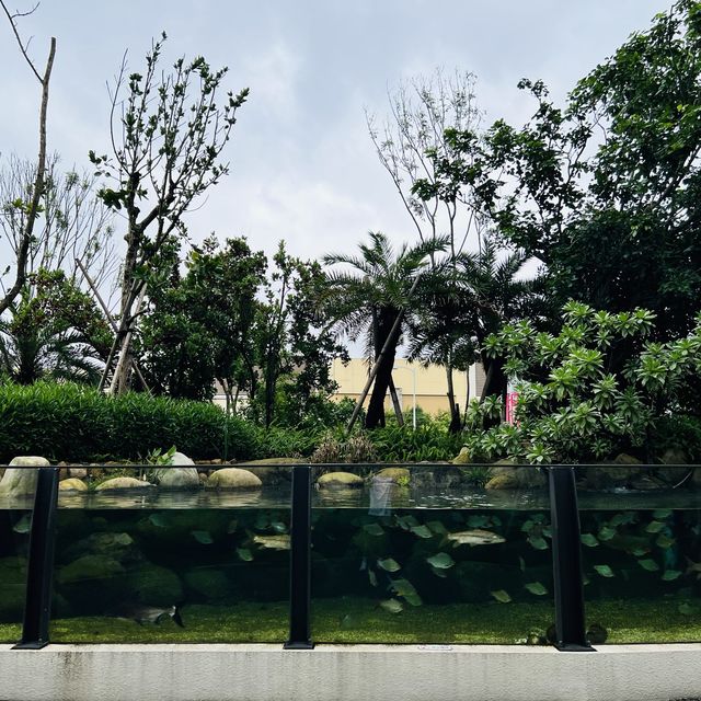 X Park 水族管 