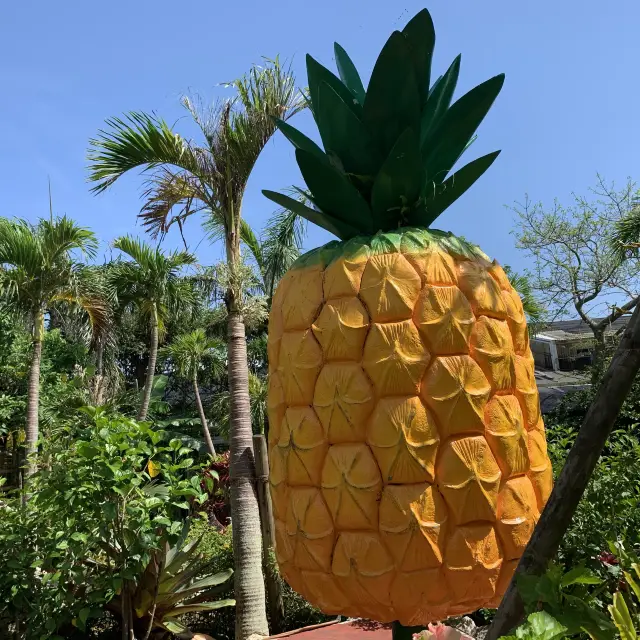 パイナップルの楽園🍍ナゴパイナップルパーク