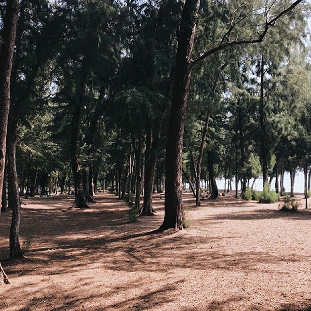 ไปเดินเล่นหาดวนกร หาดกว้างที่สุดในจ.ประจวบฯ