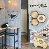 Doo Cat cafe