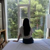 푸릇푸릇한 숲뷰🌿 를 즐길 수 있는 양양호텔