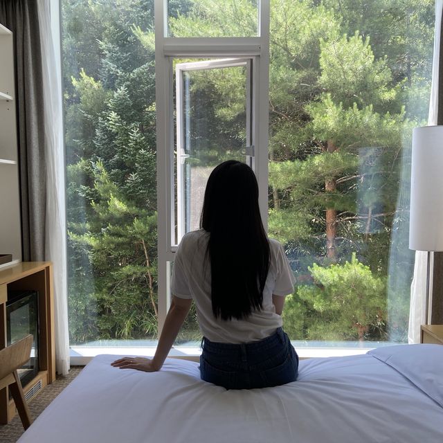 푸릇푸릇한 숲뷰🌿 를 즐길 수 있는 양양호텔