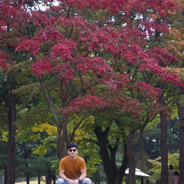 Somewhere Gapyeong station