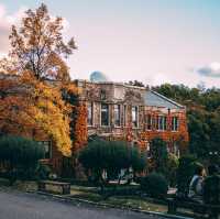 Fall foliage in Yonsei university