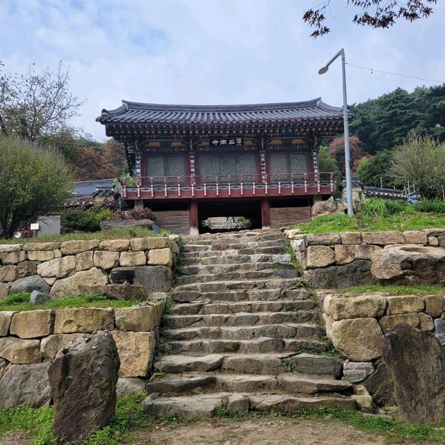 안성 석남사에 서운산 단풍이 찾아왔어요