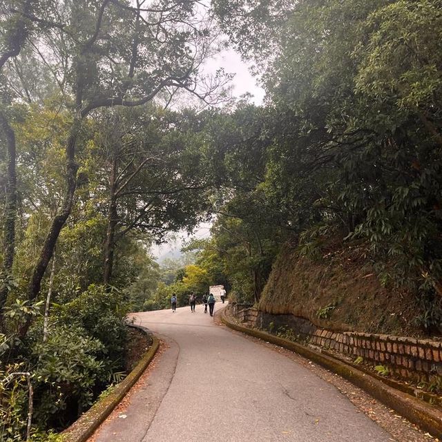 三山勁走✌️✌️✌️💪💪柏架山，畢拿山，渣甸山