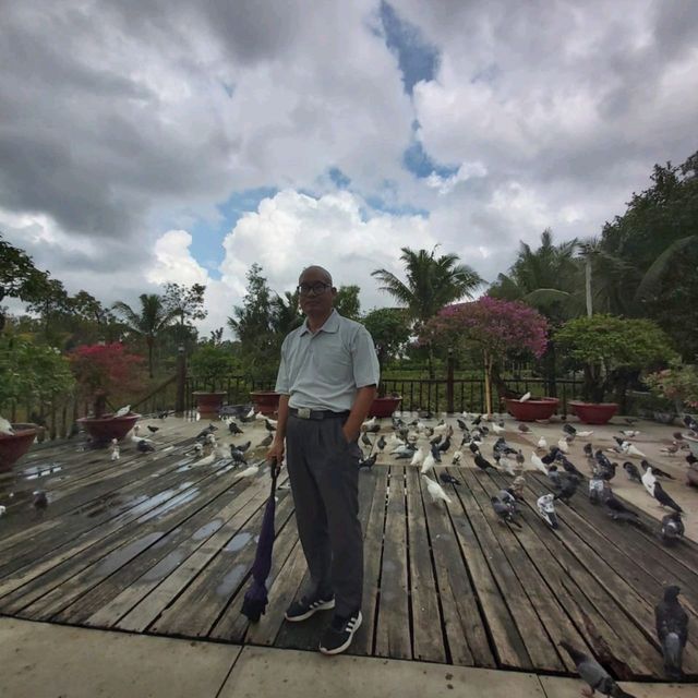 An Giang, Rừng Trà sư