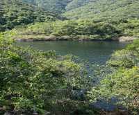 大潭水塘
