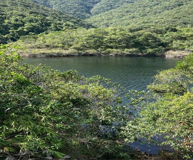 大潭水塘