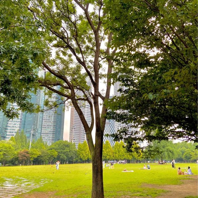 도심 속 자연이 가득한 힐링공간🌲