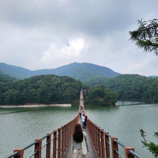 맑은 강과 다리의 조화가 멋진 파주 출렁다리✨