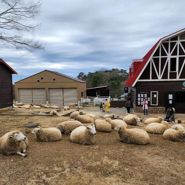 Rokko farm