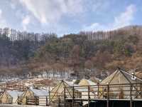 공기 맑은 평창, 별 보는 글램핑 🏕