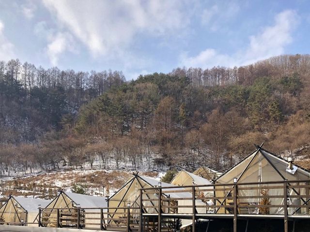 공기 맑은 평창, 별 보는 글램핑 🏕