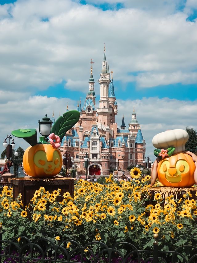 Halloween Arrives at Shanghai Disneyland🎃