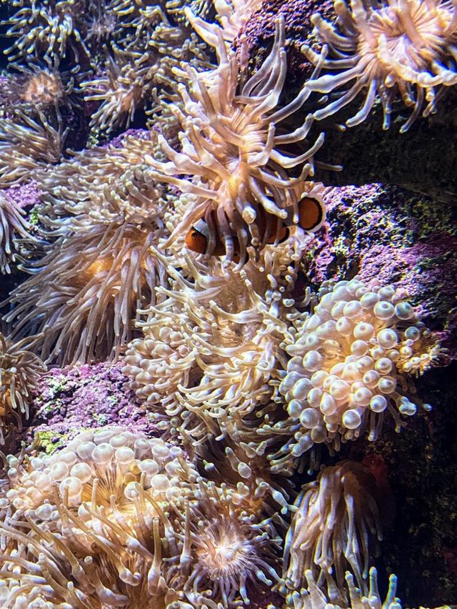 CretAquarium - Crete Island, Greece