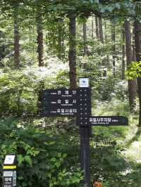 한반도의 척추 태백산 등산