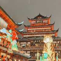 CNY Lights that shine 