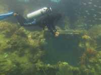 Philippines / Scuba diving 