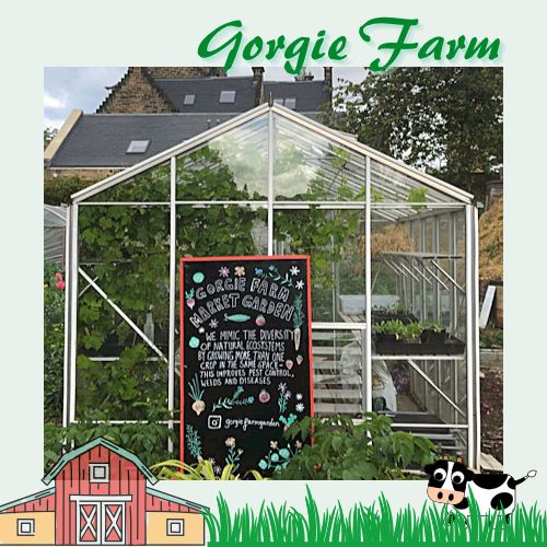 愛丁堡城市中的友好小農場Gorgie Farm