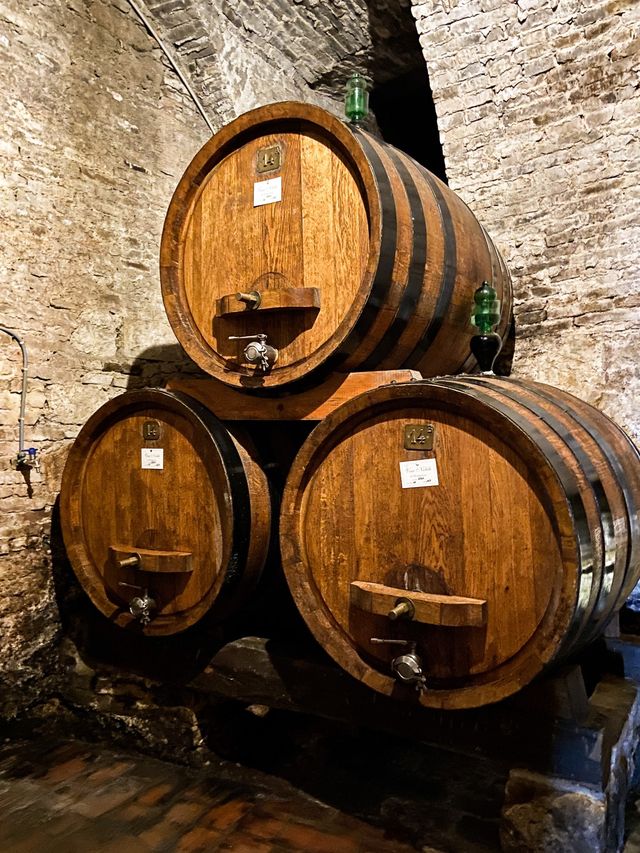 Contucci Palace & Wine cellars 🍷❤️