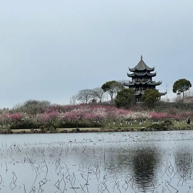 A beautiful park with many trees 