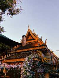 Let’s explore Menghai in Xishuambanna 