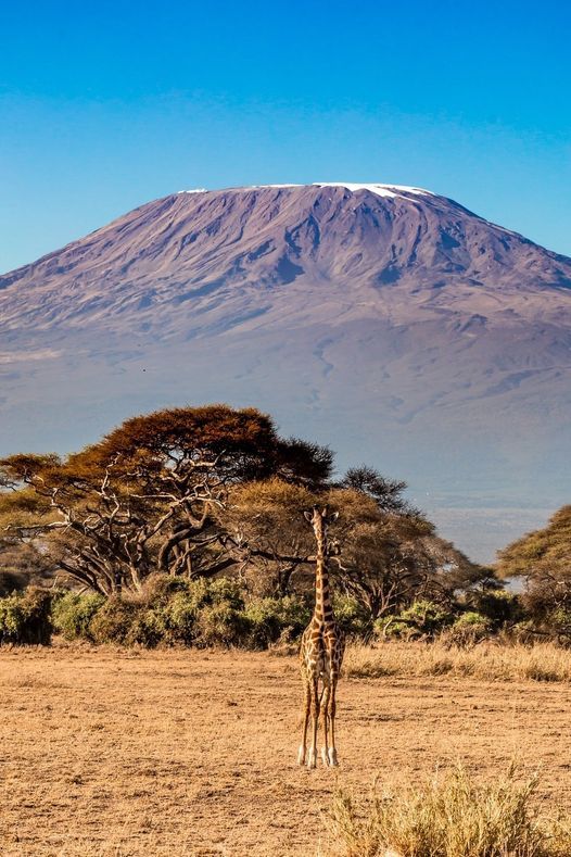 Three Days Serengeti - Ngorongoro