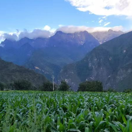 Tiger Leaping Gorge Hike 