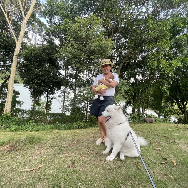 First family vacation with baby and dogs 🐕 