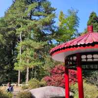The Flower Path Garden Ruqin Lake Jiangxi
