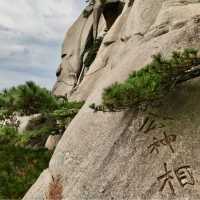 Lord of Wan overlooking the mountains 