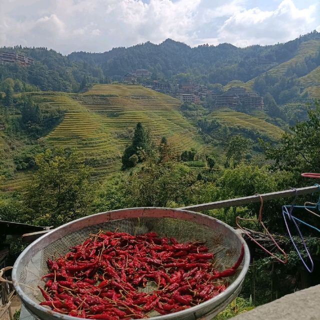 Longji Rice Terraces 