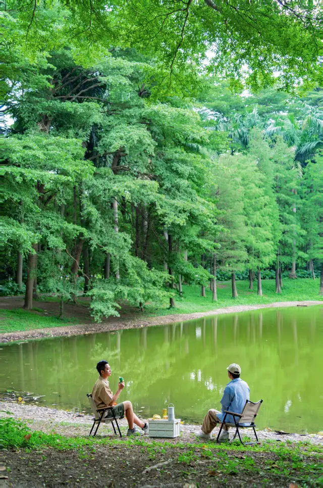 Found the real-life version of "The Wizard of Oz" in Guangzhou, breathtakingly beautiful ❗️