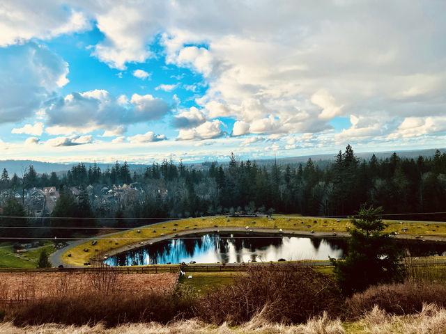 Seattle, USA has the most beautiful clouds in the world.