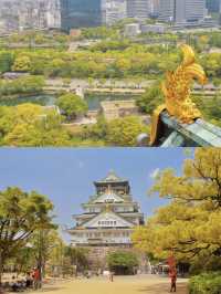 Osaka Castle | Witness the peak of the Toyotomi Hideyoshi era