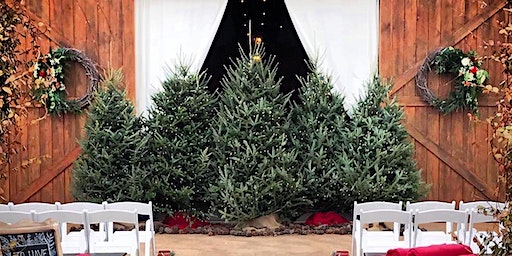 CHRISTMAS at the FARM (Dinner + Show) | Venue 1074  at Clark and Nelon Farms, (near Carrollton, GA)