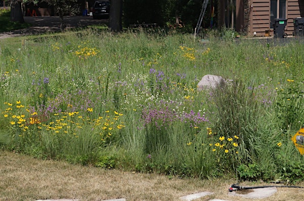 Native Garden Planning Workshop | Prairie Restorations Inc